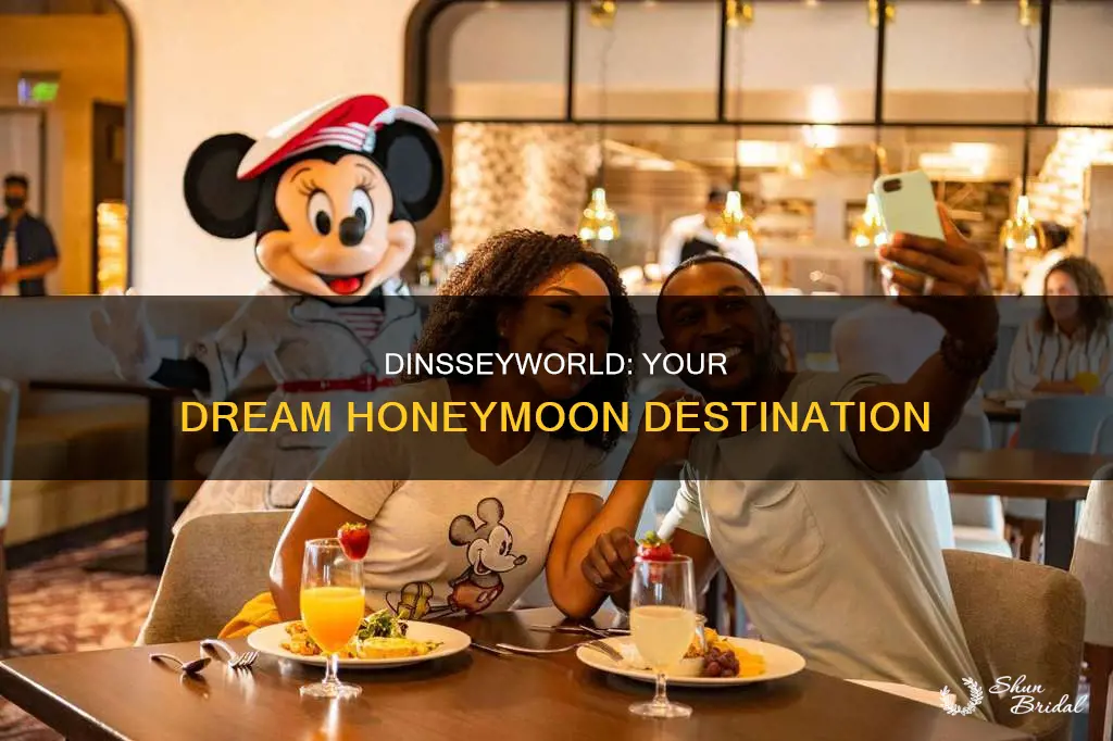 what does dinseyworld do for your honeymoon