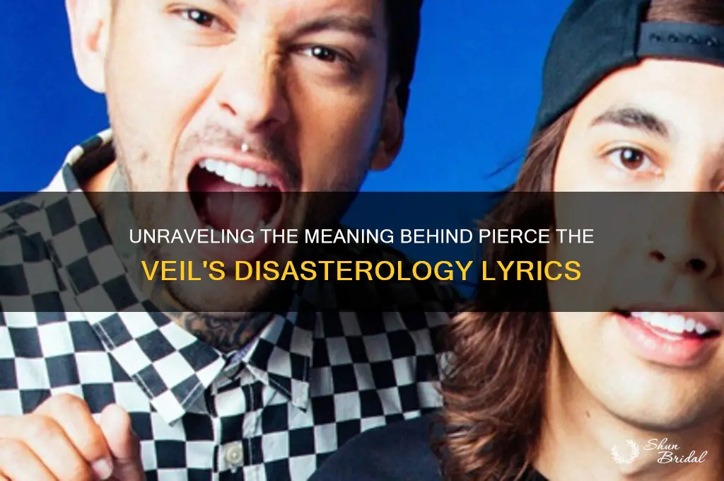 what does disasterology by pierce the veil mean