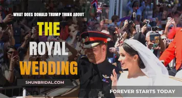 Trump's Take: Royal Wedding Reactions and Opinions Unveiled