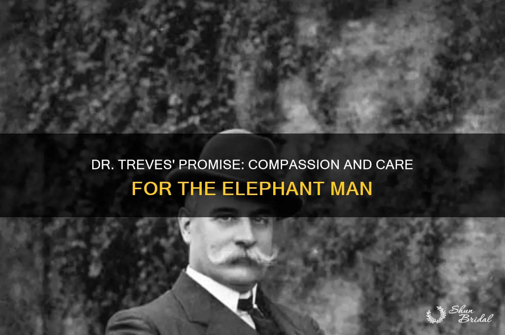 what does dr treves vow to the elephant man
