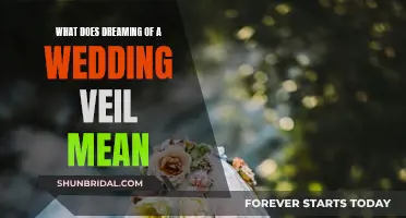 The Wedding Veil Dream: Unveiling Your Subconscious