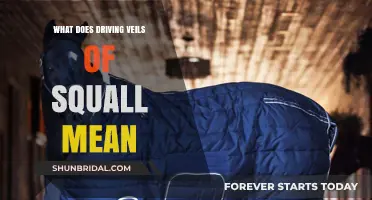 Driving Veils of Squall: Unraveling the Meaning and Origins