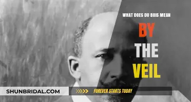 Understanding Du Bois' Concept of the Veil: A Deep Dive