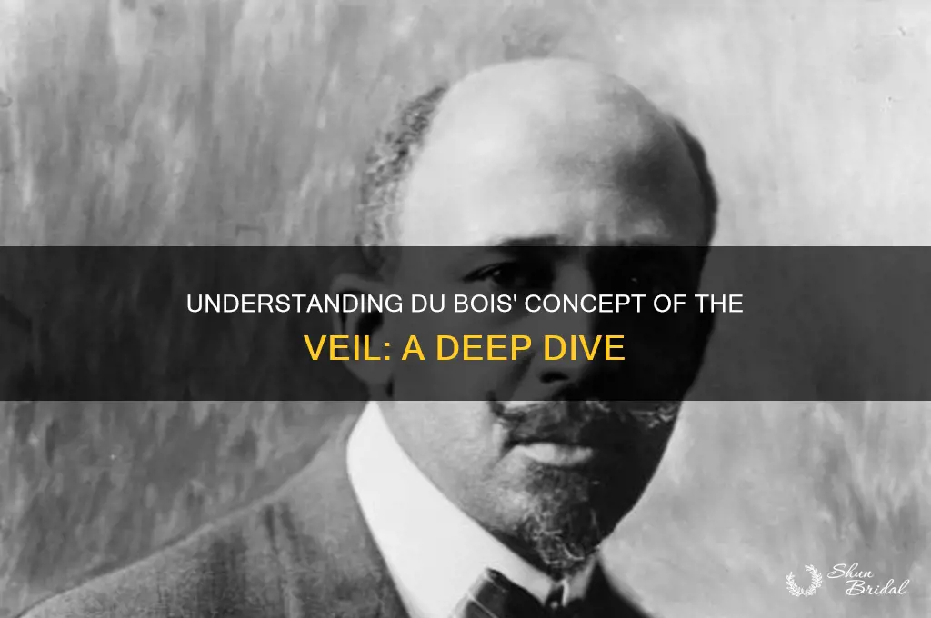 what does du bois mean by the veil
