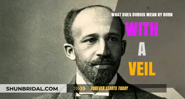 Born with a Veil: Unveiling DuBois' Profound Metaphor and Meaning