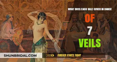 Unveiling the Secrets: Exploring Each Vale in the Dance of Seven Veils