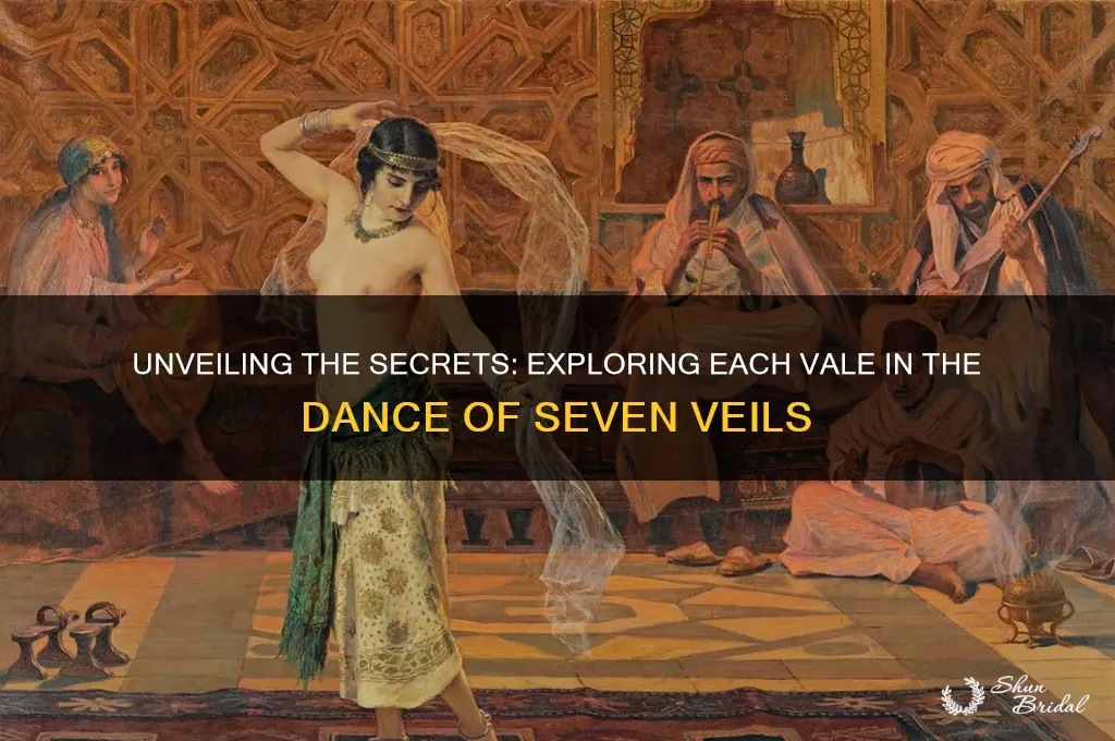 what does each vale cover in dance of 7 veils