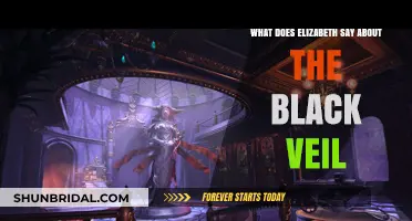 Unveiling Elizabeth's Perspective: The Mystery of the Black Veil