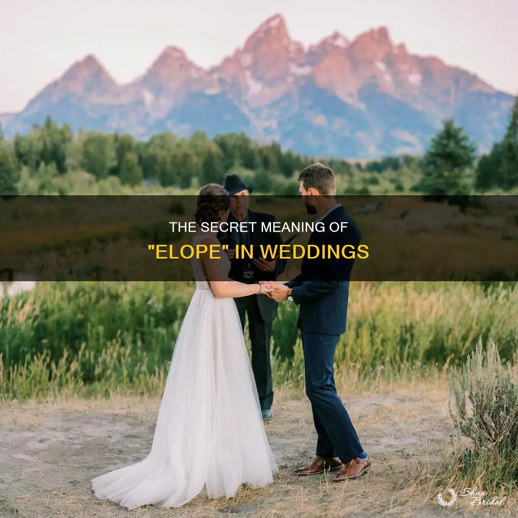 what does elope mean wedding