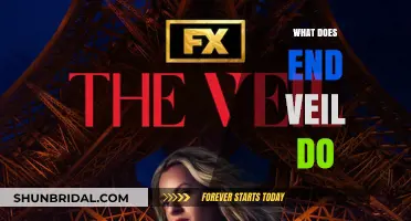 Understanding the Purpose and Function of the End Veil