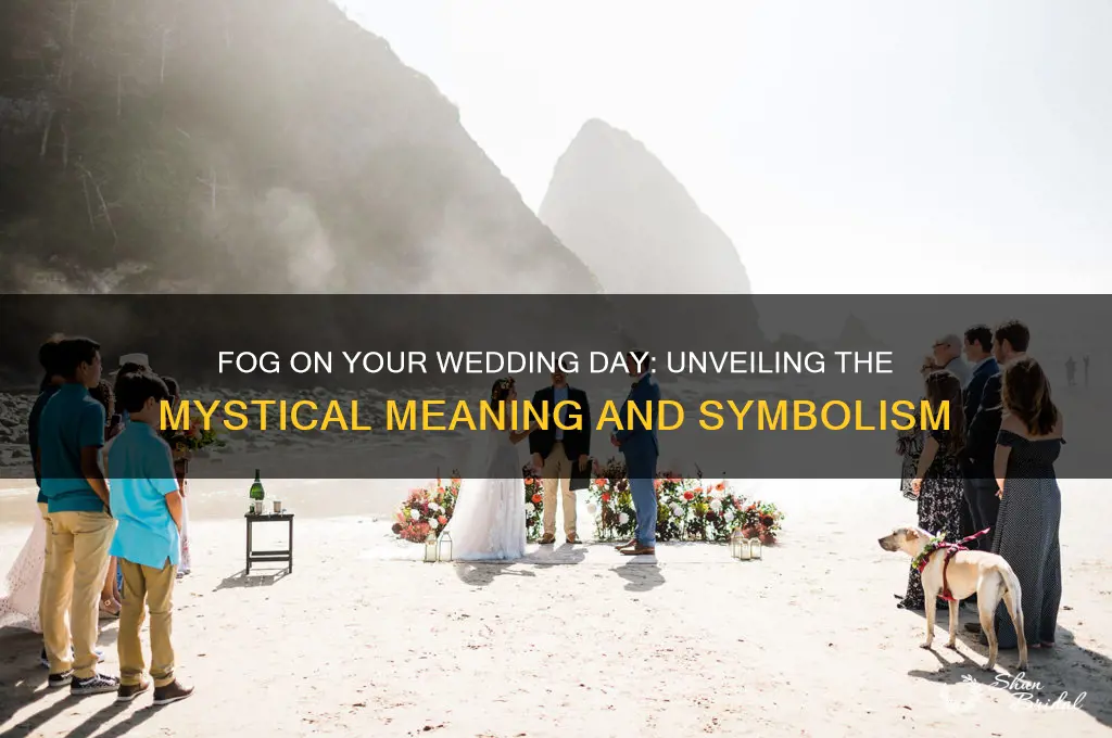 what does fog on your wedding day mean