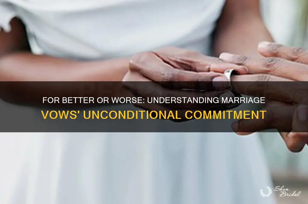 what does for better or worse mean in marriage vows