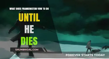 Frankenstein's Eternal Vow: Pursuing the Creature Until Death