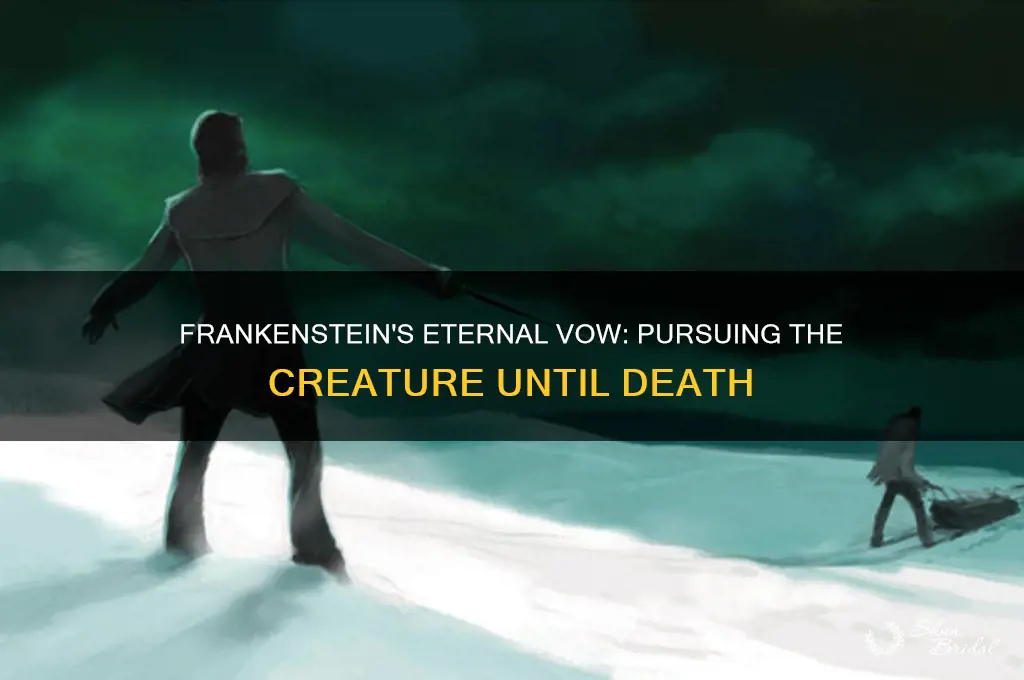 what does frankenstein vow to do until he dies