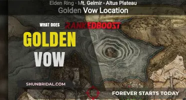 Understanding the Meaning and Significance of the Golden Vow