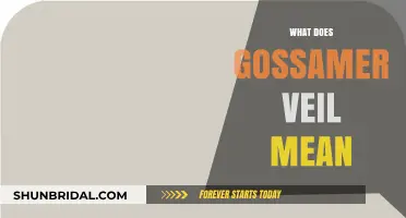 Unveiling the Mystery: What Does Gossamer Veil Truly Mean?