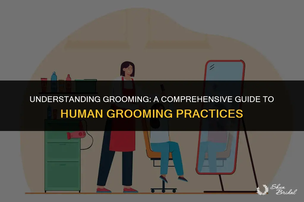 what does groom mean when applied to humans