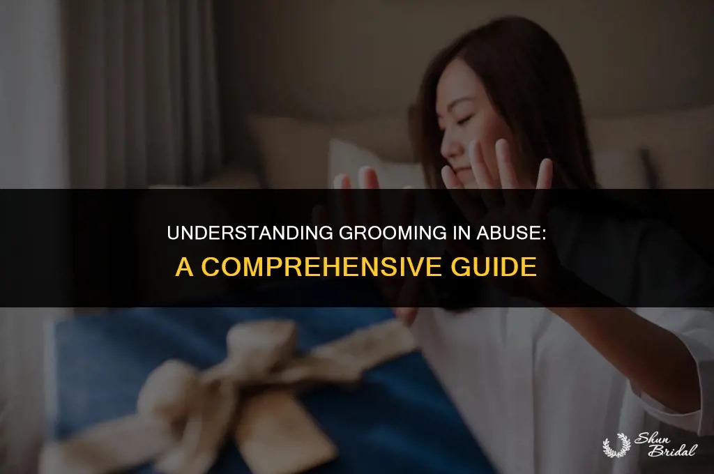 what does grooming mean in abuse