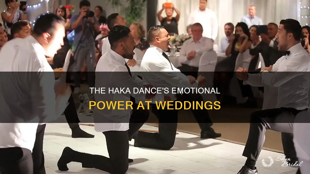 what does haka dance mean in weddings