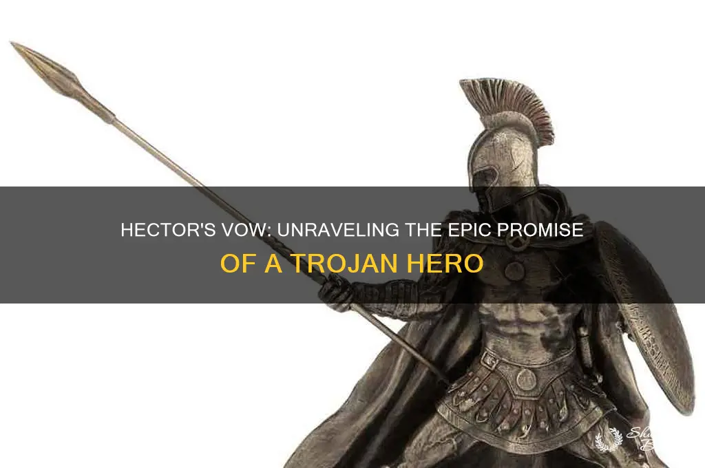 what does hector vow