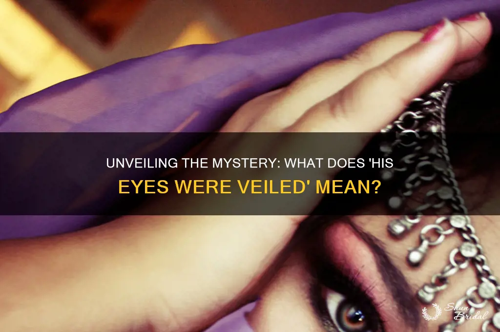 what does his eyes were veiled mean