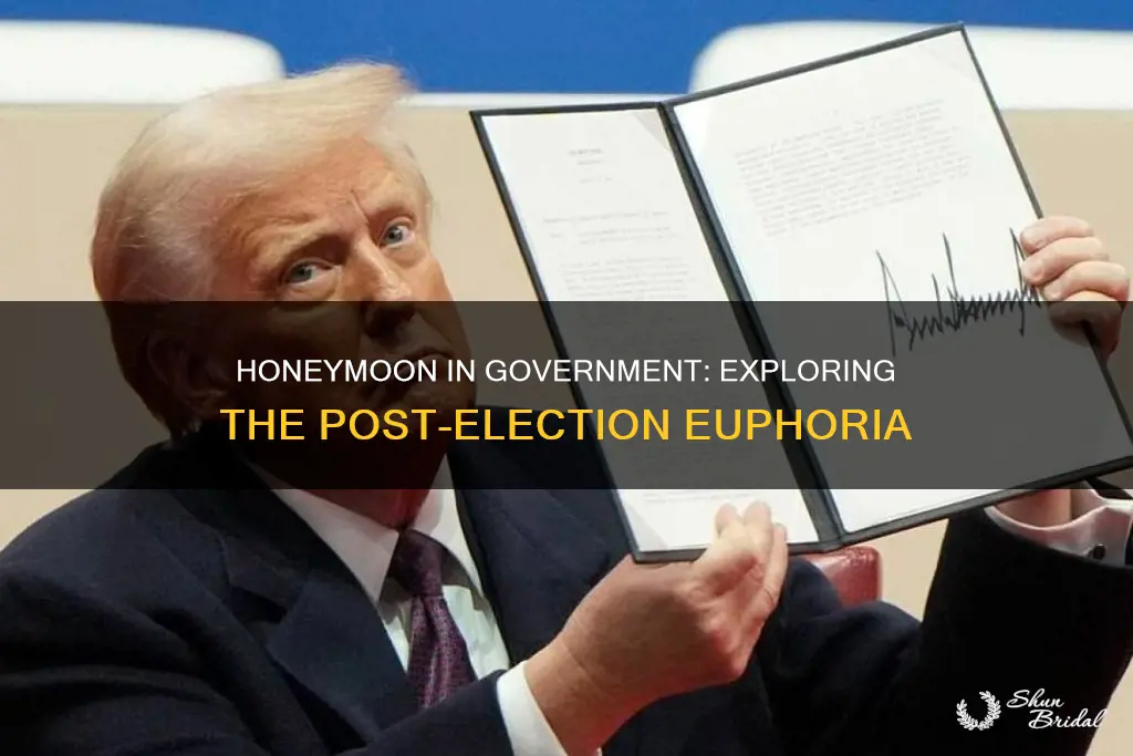 what does honeymoon mean in government