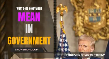 Honeymoon Period: A Government's Grace Period Explained