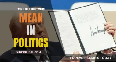 The Honeymoon Period: Political Calm Before the Storm