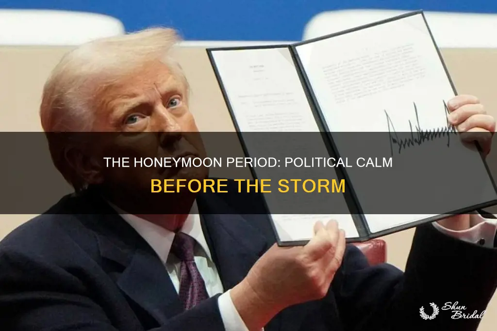 what does honeymoon mean in politics