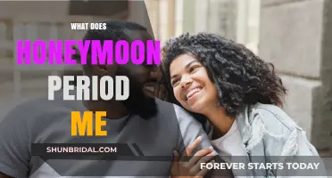 Understanding the Honeymoon Period: Meaning, Duration, and Realities Explained