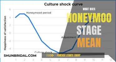 Honeymoon Stage: Understanding the Initial Spark in Relationships