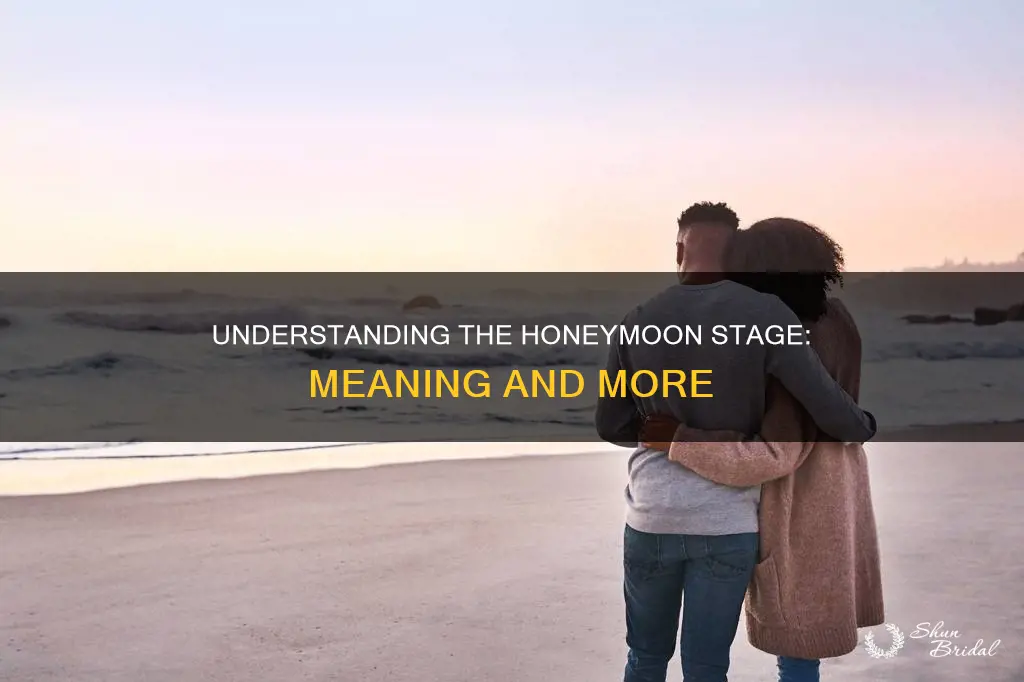 what does honeymoon stage mean