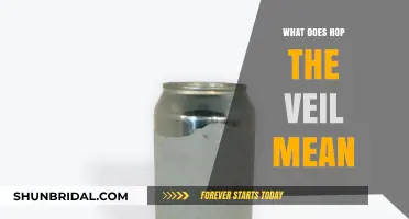 Unveiling the Mystery: What Does 'Hop the Veil' Truly Mean?