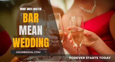 Hosted Bar: Understanding the Beverage Service at Your Wedding