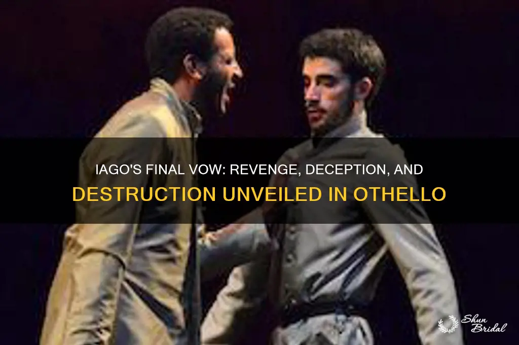 what does iago vow to do in the end