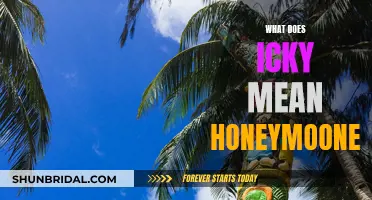 Honeymooners' Guide to Tackling the 'Ick' Factor