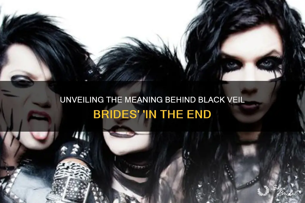 what does in the end by black veil brides mean