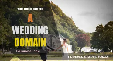 Wedding Website Costs: Budgeting for Your Perfect Online Celebration Space