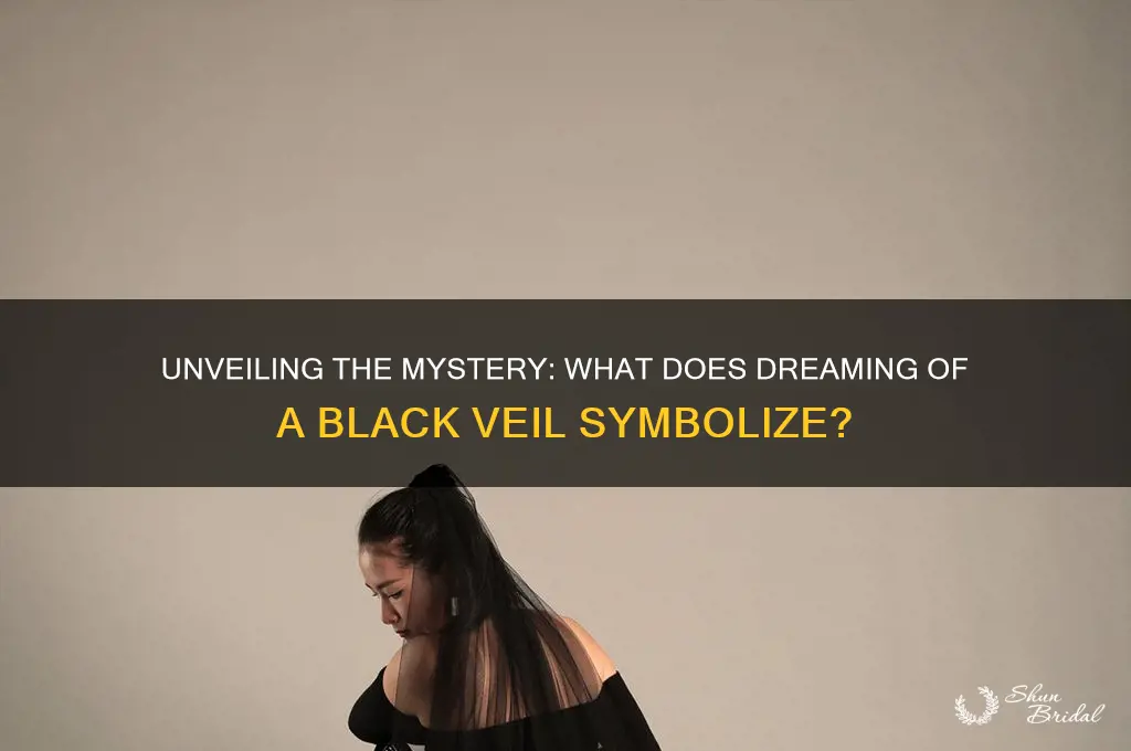 what does it mean to dream of black veil
