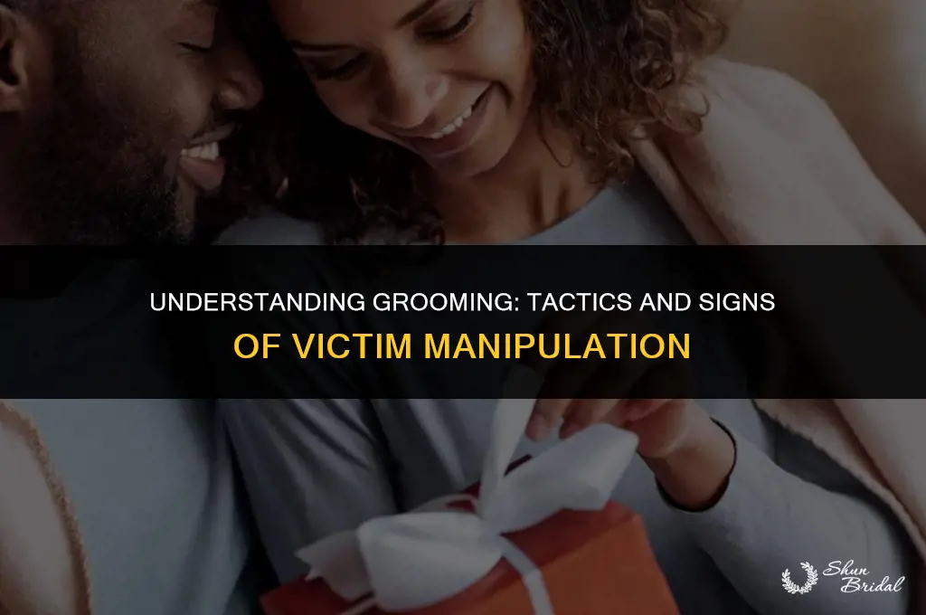 what does it mean to groom a victim