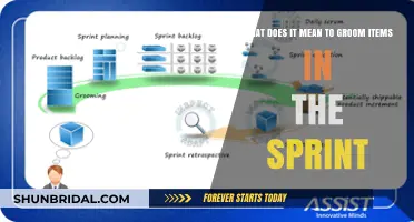 Understanding Grooming in Agile Sprints: A Comprehensive Guide
