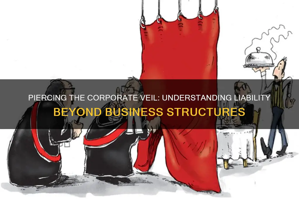 what does it mean to pierce the corporate veil