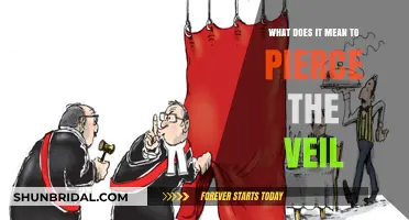 Piercing the Veil: Unveiling Corporate Liability and Personal Responsibility