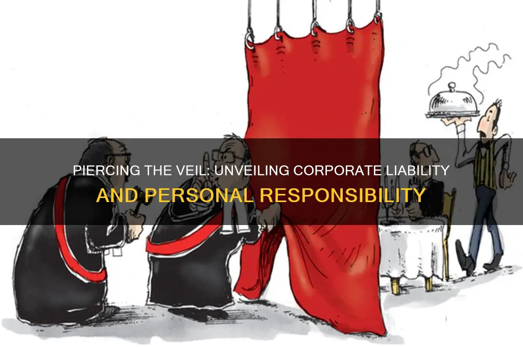 what does it mean to pierce the veil