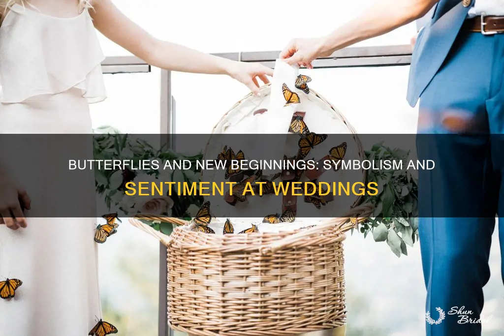 what does it mean to release butterflies at a wedding