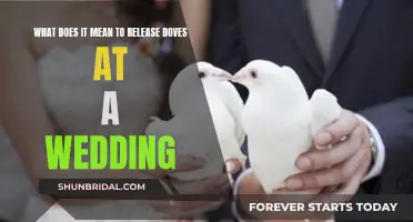 Symbolic Soaring: The Significance of Releasing Doves at Weddings