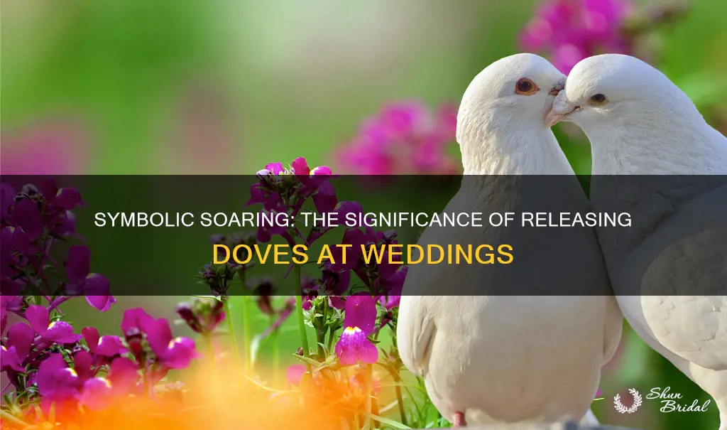 what does it mean to release doves at a wedding