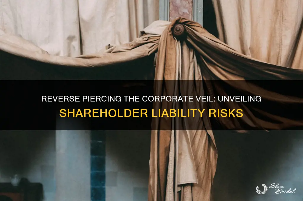 what does it mean to reverse pierce the corporate veil