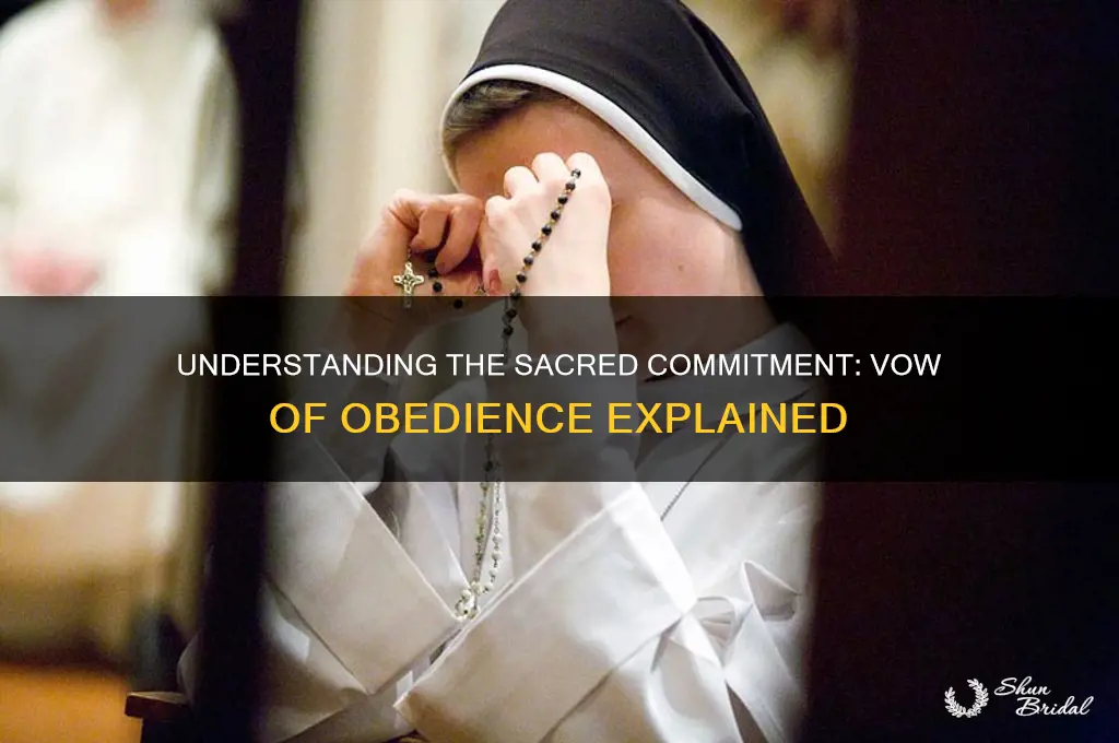 what does it mean to take a vow of obedience