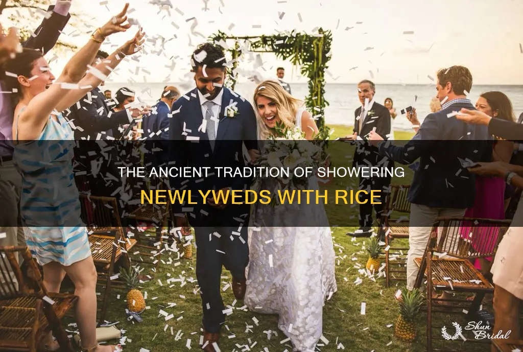 what does it mean to throw rice at a wedding